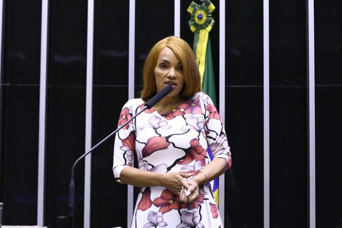 Flordelis se defendeu das acusações durante discurso em Plenário


Foto: Cleia Viana/Câmara dos Deputados