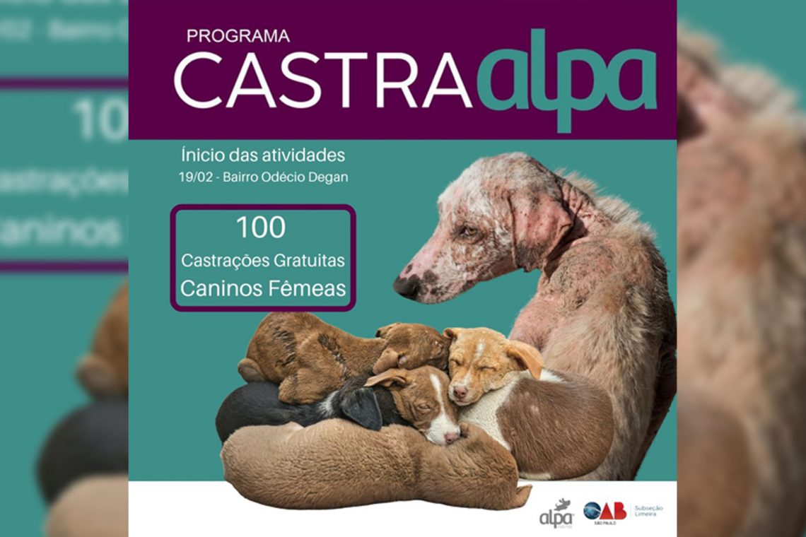 Imagem: Divulgação / ALPA