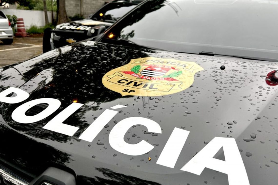 Foto: Governo de SP/Polícia Civil